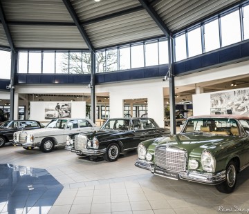 ROSIER Classic Sterne